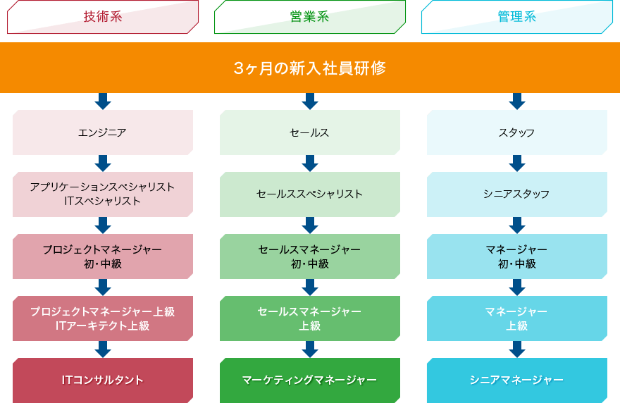 キャリアパス